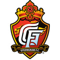 경남 FC 엠블럼